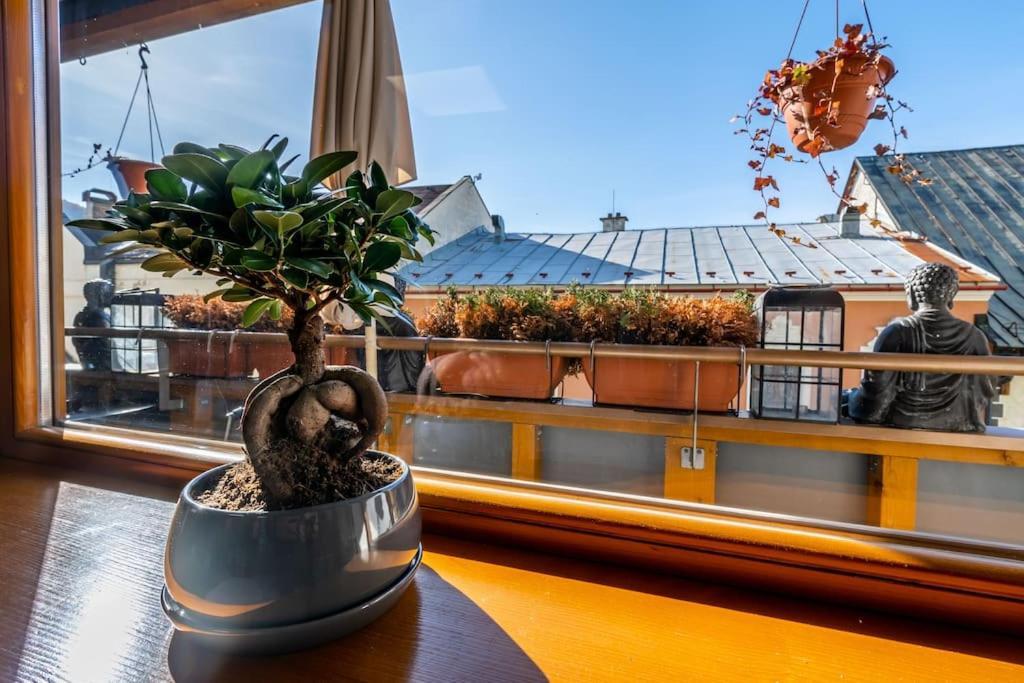 Apartman Strieborna V Centre Mesta Banská Bystrica Exteriör bild